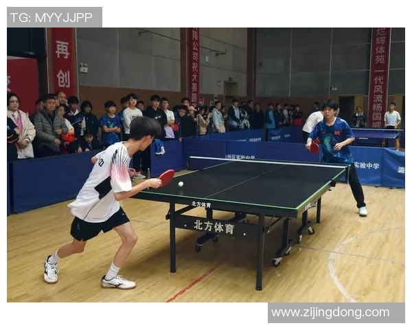 乒乓球的拼搏与荣耀重庆乒乓球队奋斗历程全景纪实 乒乓球的拼搏与荣耀重庆乒乓球队奋斗历程全景纪实