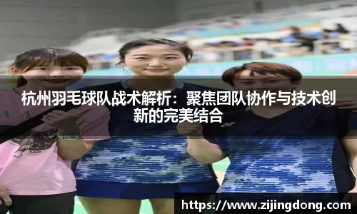 杭州羽毛球队战术解析：聚焦团队协作与技术创新的完美结合